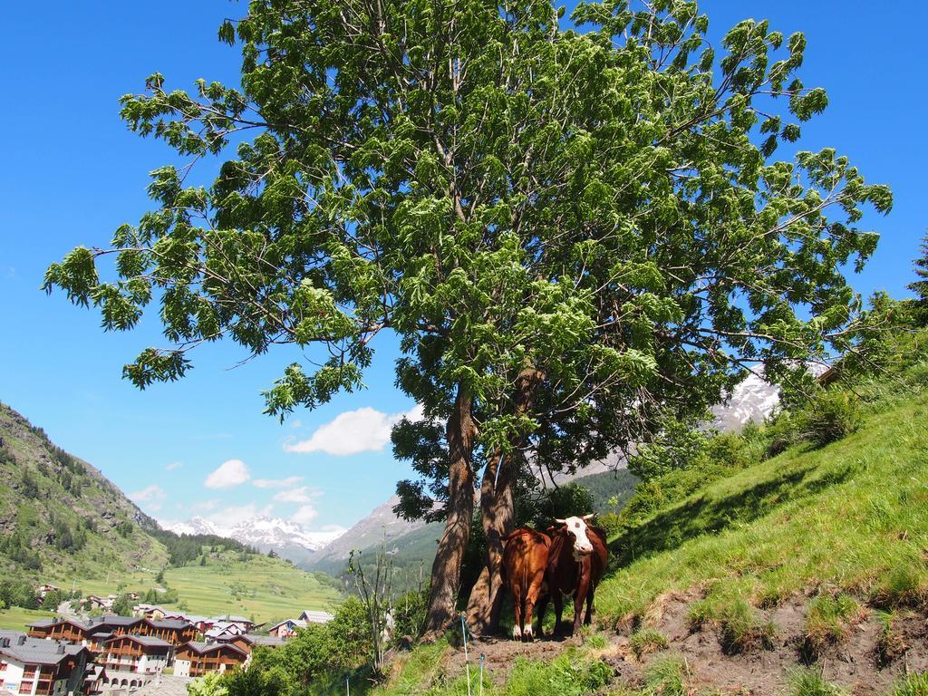 Locations Berne Milesi Daire Lanslevillard Dış mekan fotoğraf